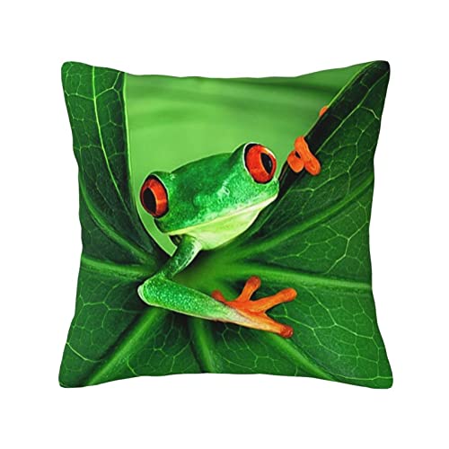 ASEELO Niedliches Frosch-Kissen, 45,7 x 45,7 cm, für Wohnzimmer, Schlafzimmer, Sofa, Couch, Outdoor-Kissenbezüge von ASEELO