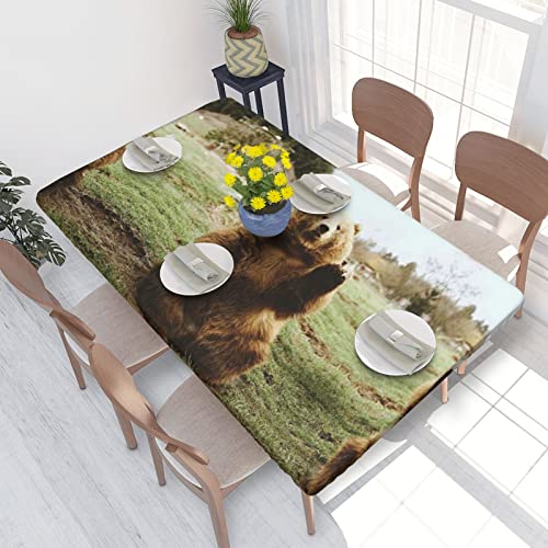 ASEELO Tischdecke, 122 cm, Hi Bear Sit on the Rasen, Dekorative Tischdecke, abwischbare Tischdecke für Esstisch, Tisch und drinnen und draußen von ASEELO