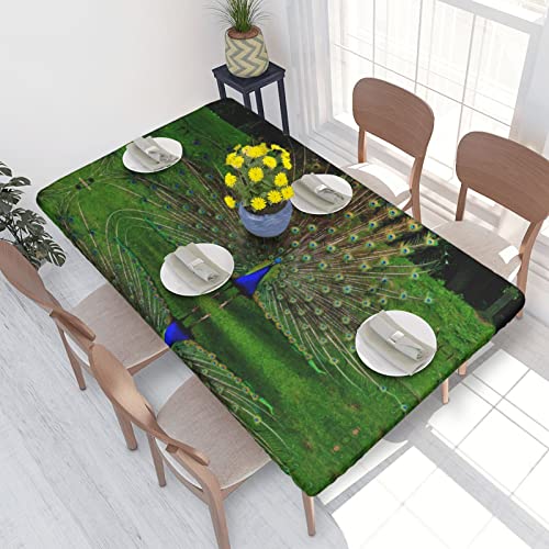 ASEELO Tischdecke, 122 cm, Pfauen-Druck, dekorative Tischdecke, abwischbar, für Esstisch, Innen- und Außenbereich von ASEELO