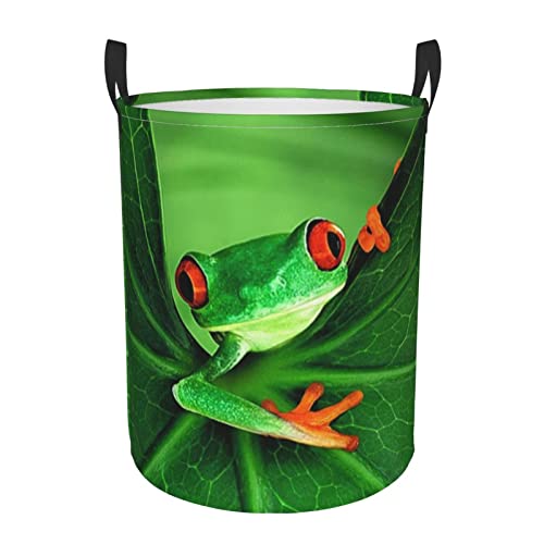 Großer Wäschekorb mit süßem Frosch-Motiv, zusammenklappbar, hohe Kleiderkörbe, Wäschesack für Badezimmer, Schlafzimmer von ASEELO