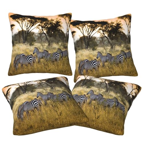 Kissenbezüge 50 x 50 cm, Afrika, Grasland, Zebra, doppelseitiger Druck, Kissenbezüge mit unsichtbarem Reißverschluss, dekorativer Couch-Kissenbezug von ASEELO