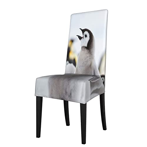 Stuhlhussen für Esszimmerstühle, niedliches Pinguin-Tiermuster, dehnbar, abnehmbar, waschbar, wiederverwendbar, für Zuhause, Küche, Dekoration von ASEELO