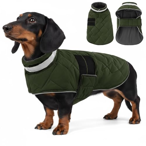 ASENKU Hundemantel Winter M, Hundejacke für Mittelgroßer Hunde,Hundemantel Fleece Wasserdicht und Warm,Reflektierende Winterjacken Wintermäntel für Hunde mit Geschirr Loch Karierte von ASENKU