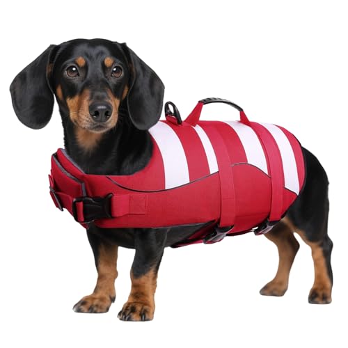 ASENKU Schwimmweste Hund Klein Hundeschwimmweste Sportstil mit Rettungsgrif Verstellbar Guter Auftrieb Rettungsweste Hund S für Dackel Chihuahua Französische Bulldogge Labrador von ASENKU
