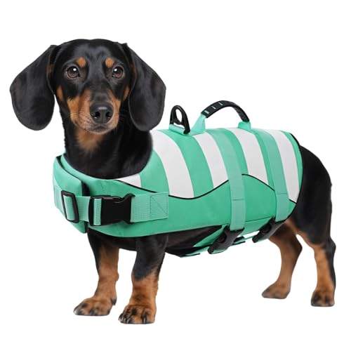 ASENKU Schwimmweste Hund Klein Hundeschwimmweste Sportstil mit Rettungsgrif Verstellbar Guter Auftrieb Rettungsweste Hund S für Dackel Chihuahua Französische Bulldogge Labrador von ASENKU