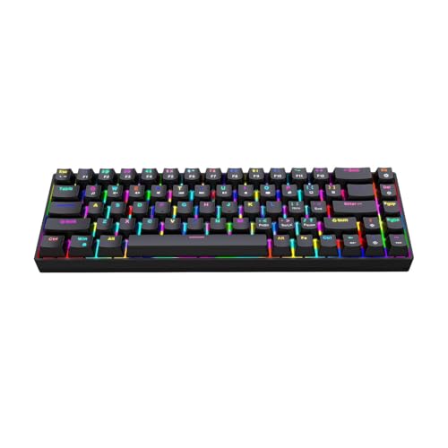 ASHATA 68 Tasten für Mechanische Gaming -Tastatur, Verkabelte Mechanische Tastatur mit Ergonomischem Design 19 RGB Backlight Modi Heiße Swappbare Tasten Abnehmbares Kabel für PC (Black) von ASHATA