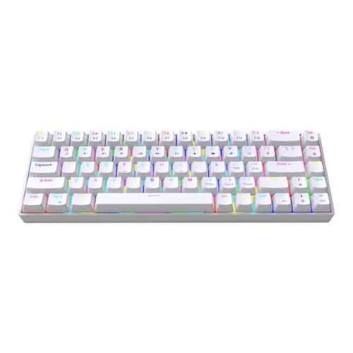 ASHATA 68 Tasten für Mechanische Gaming -Tastatur, Verkabelte Mechanische Tastatur mit Ergonomischem Design 19 RGB Backlight Modi Heiße Swappbare Tasten Abnehmbares Kabel für PC (White) von ASHATA