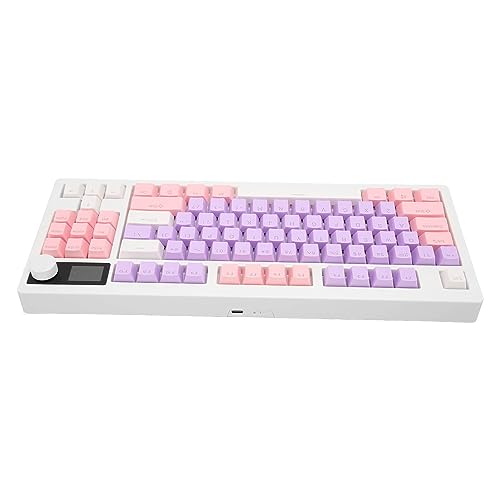 ASHATA 80% 3 Modus RGB Gaming Tastatur, 87 Tasten, Mechanische Tastatur, Hot Swap fähig, 16 Lichteffekte, USB Kabel, 2,4 G BT5.0 Modus für OEM Tastenkappe, für Computer PC von ASHATA