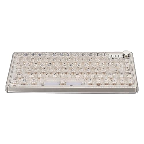 ASHATA Mechanische Gaming-Tastatur mit Dichtungsmontage und Transparenten Tastenkappen, RGB BT5.0 2,4 GHz Typ C, DREI Konnektivitätsmodi, Kratzfest, 2000-mAh-Akku (White) von ASHATA