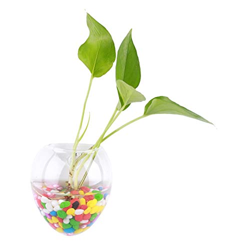 ASHATA Wandbehang Glas Pflanzgefäße Blumentopf,Kreative Haus Hängende Pflanzen Halter Wand Glas Vase,Pflanze Terrarien Pflanzenbehälter für Wohnzimmer Hochzeit Schlafzimmer Dekoration(# 6) von ASHATA