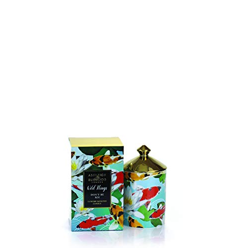 Asleigh & Burwood Duftkerze 320 g - 55Hrs. Gama: WILD Things - Dont Be Koi (Marokkanische Spezialitäten) von ASHLEIGH & BURWOOD