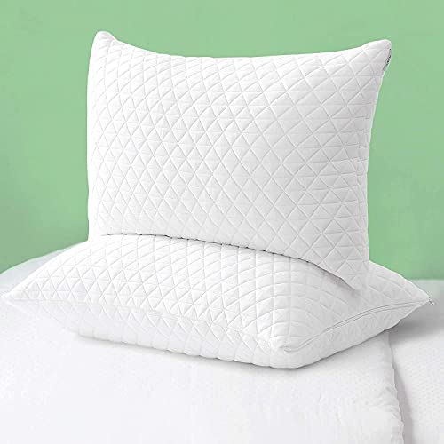 ASHOMELI Pillows Queen Kissen aus geschreddertem Memory-Schaum, kühlend, verstellbar, für Seiten- und Rückenschläfer, mit waschbarem, abnehmbarem Bambusbezug, 2 Stück von ASHOMELI