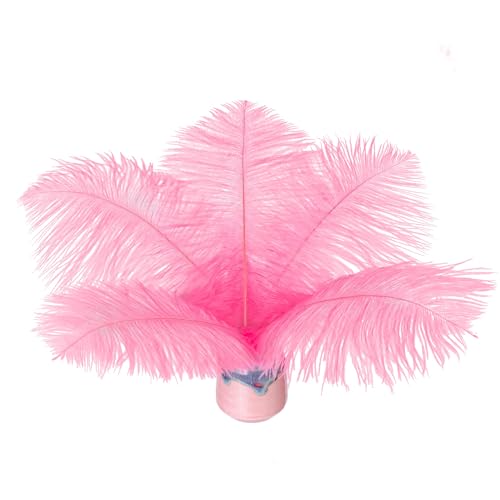 20 Stück rosa Straußenfedern, 20–25 cm (8–10 Zoll), lose für selbstgemachte Kunstwerke und selbstgemachte Kleidung, Federstifte, Traumfänger, Tischdekoration. von ASKFNASDKMFN