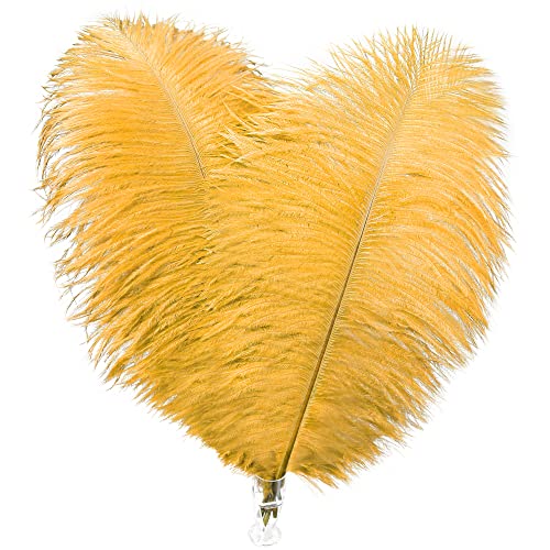 Goldene Straußenfedern in Großpackung – 30 Stück 20–25 cm große Federn für Tischdekorationen bei Festivals, Partys, Blumenarrangements und Bastelarbeiten (Gold) von ASKFNASDKMFN