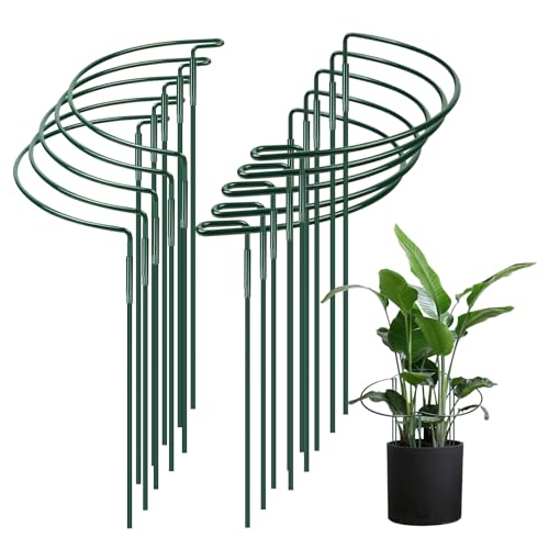ASOFTY 10 Stück Pflanzenstützen, 35X20cm Metall Halbrund Pflanze Stützpfähle, Befestigbare Garten Blumenstütze, Grün Staudenhalter, Pflanzenhalter für Topfpflanzen, Blumen, Gemüse ASOFTY 10 Stück Pflanzenstützen, 35X20cm Metall Halbrund Pflanze Stützpfähle, Befestigbare Garten Blumenstütze, Grün Staudenhalter, Pflanzenhalter für Topfpflanzen, Blumen, Gemüse von ASOFTY