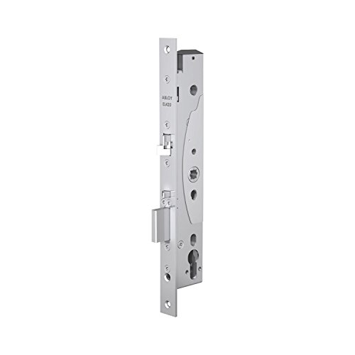 ASSA ABLOY 100120 Sicherheitsschloss elektronisches Türschloss DM 40, Stahl Edelstahl-Effekt EL420, Silber von ASSA ABLOY
