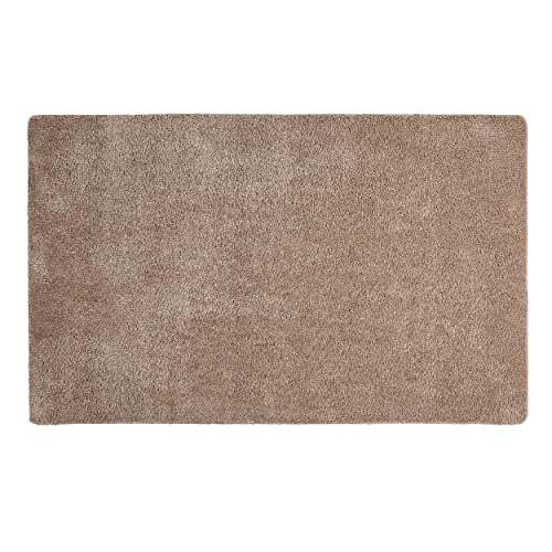 ASTRA Fußmatte innen rutschfest - Pflegeleichte Schmutzfangmatte waschbar - Türmatte PVC-frei Sauberlaufmatte - saugstarker Fußabtreter Taupe 50x80 cm von ASTRA