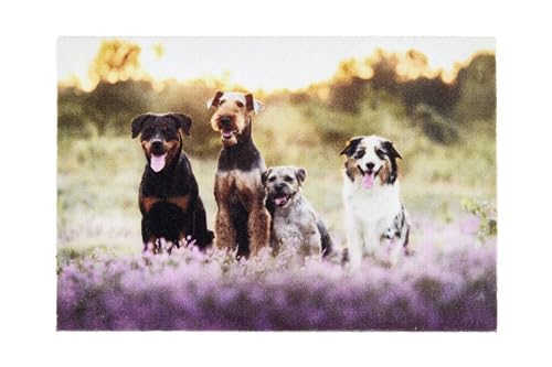 Astra Fussmatte innen rutschfest - Wasserabweisende Schmutzfangmatte Eingang - Fußabtreter waschbar 30°C - Türmatte pflegeleicht - Fußmatte Hunde 40x60 cm Astra Fussmatte innen rutschfest - Wasserabweisende Schmutzfangmatte Eingang - Fußabtreter waschbar 30°C - Türmatte pflegeleicht - Fußmatte Hunde 40x60 cm von Astra