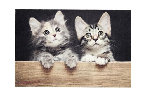 Fussmatte innen rutschfest - Wasserabweisende Schmutzfangmatte - Fußabtreter waschbar 30°C - Türmatte pflegeleicht - Fußmatte Katzen Holz 40x60 cm von Astra