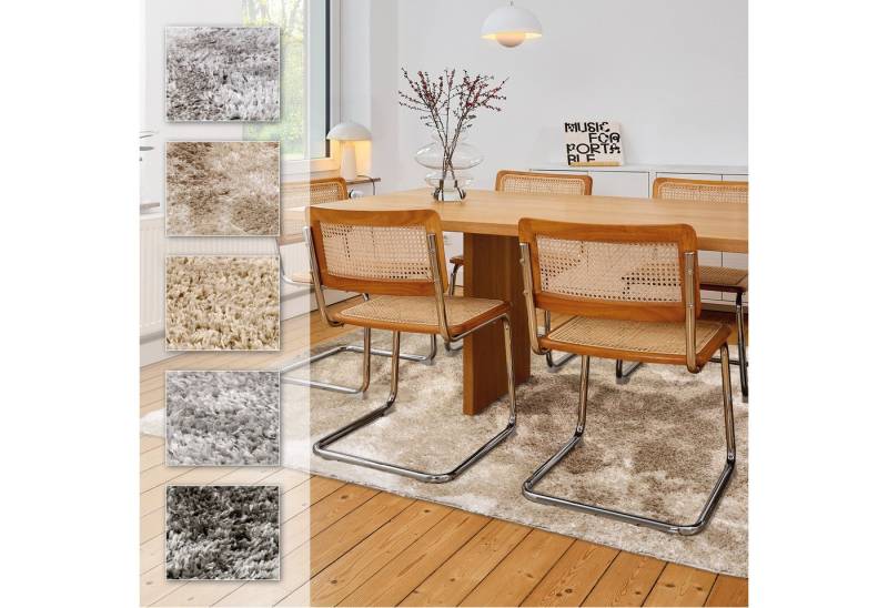 ASTRA Hochflor-Teppich Paulie 251, rechteckig, Höhe: 25 mm, Langflor, Shaggy, Wohnzimmer, Schlafzimmer von ASTRA