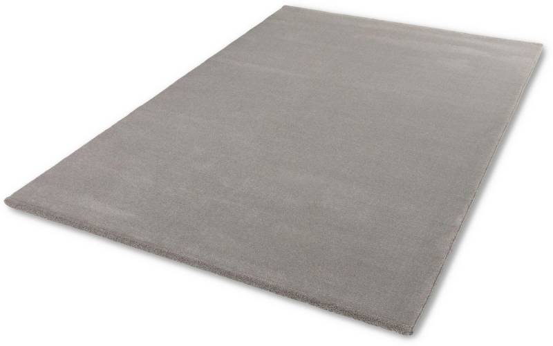 ASTRA Teppich Barletta 240, rechteckig, Höhe: 20 mm, Langflor, Shaggy, uni, weich, Wohnzimmer,Schlafzimmer von ASTRA