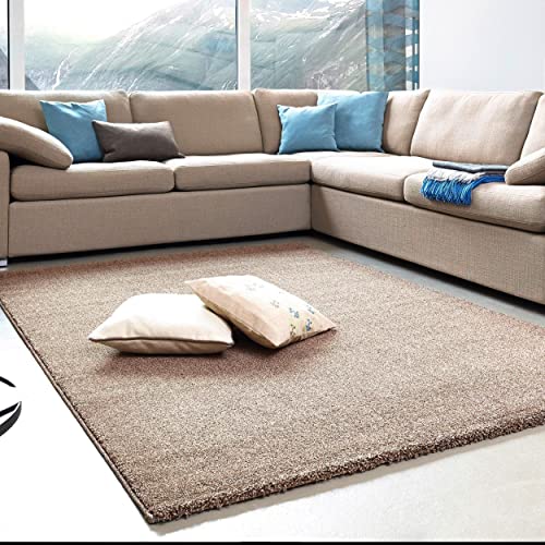 Astra Wohnzimmerteppich hochwertig- Pflegeleichte Teppiche für Wohnzimmer, Schlafzimmer, Arbeitszimmer - Samoa Uni Erde 160x230 cm von Astra