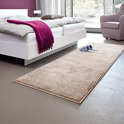 ASTRA Teppich Wohnzimmer hochwertig - Pflegeleichte Teppiche für Wohnzimmer, Schlafzimmer, Arbeitszimmer - Samoa Uni Haselnuss 67x130 cm von ASTRA