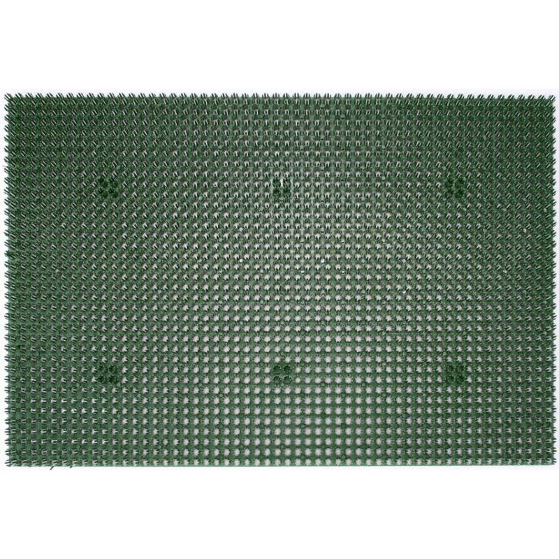 Astra Fußmatte Season 40 x 60 cm Grün von ASTRA