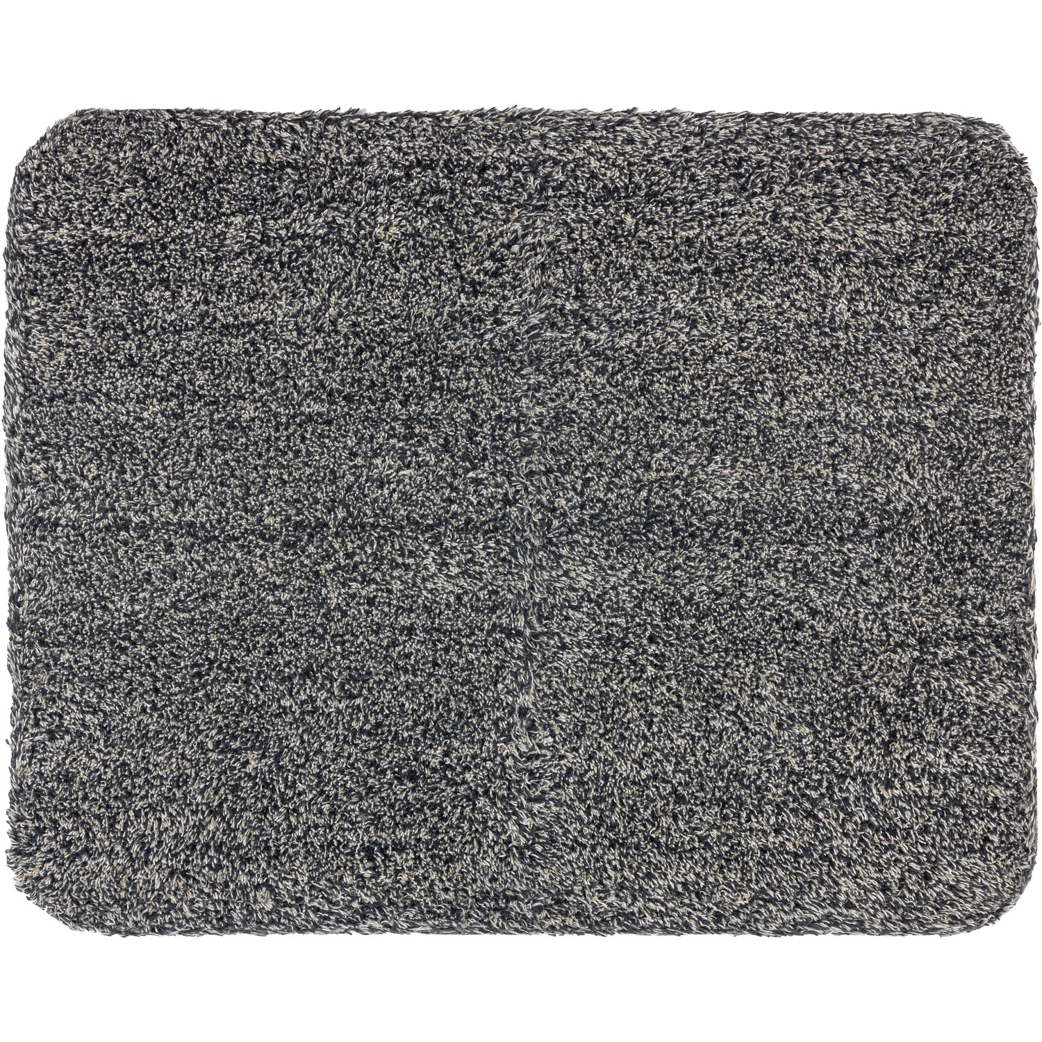 Astra Sauberlaufmatte Entra Saugstark ca. 75 cm x 130 cm Anthrazit von ASTRA