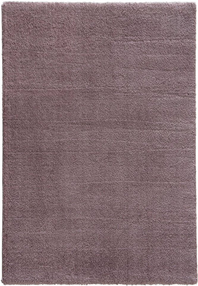 Hochflor-Teppich New Livorno, ASTRA, rechteckig, Höhe: 30 mm, Kurzflor, Wohnzimmer von ASTRA