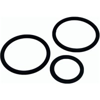 1 ½ 'Dichtungen für das Umschaltventilglied. Astralpool von ASTRALPOOL