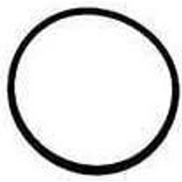O-Ring für Deckel von ASTRALPOOL