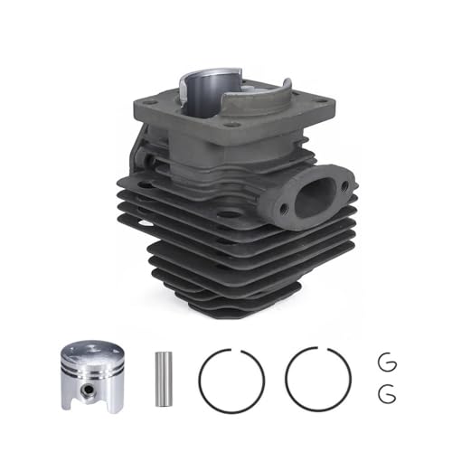36mm Zylinder & Kolbenbolzen-Kit passend for TL33 CG330 1E36F 36mm Zylinder & Kolbenbolzen-Kit passend for TL33 CG330 1E36F von ASVGTRZ