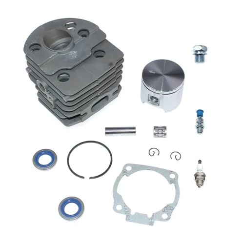 46MM Zylinderkolbensatz passend for ECV-5501 von ASVGTRZ