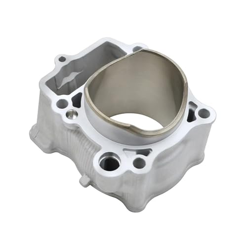 Motorrad 77mm Bohrung Zylinder Kolben Ring Dichtung Kit Fit for WR250F YZ250F WR YZ 250F 2001-2013 5XC-11311-20-00(Cylinder) von ASVGTRZ