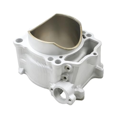 Motorrad Bohrung 95mm Zylinder Block Kolben Ringe Dichtung Kit Fit for YZ450F 2006-2009 WR450F 2007-2011 2S2-11631-20(Cylinder) von ASVGTRZ