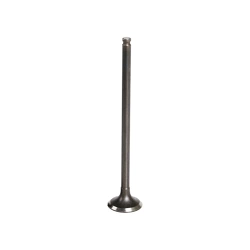 Motorrad Einlass- und Auslassventile passend for CBR250 MC14#c(1 Pc Exhaust Valves) von ASVGTRZ