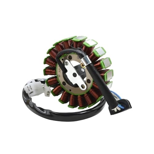 Motorrad Generator Stator Spule Fit for TTR250 TT-R250 1999-2006 TT250R TT-R 1993-2004 4GY-81410-01-00 4GY-81410-02-00 von ASVGTRZ