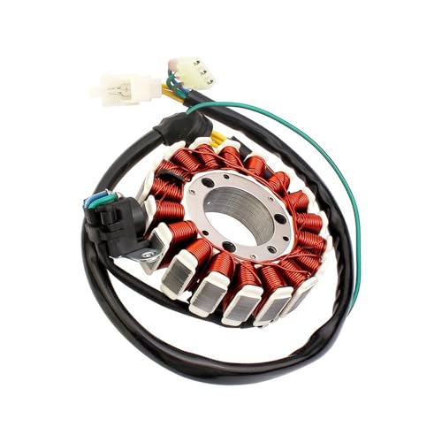 Motorrad Generator Stator Spule Fit for XR250 XR 250 von ASVGTRZ