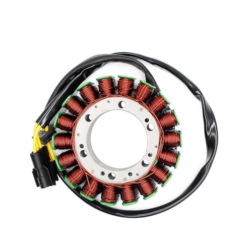 Motorrad Generator Stator Spule Montage Kit Fit for F650GS F700GS F800R F800S F800GS F800ST F800GT 2013-2014 von ASVGTRZ