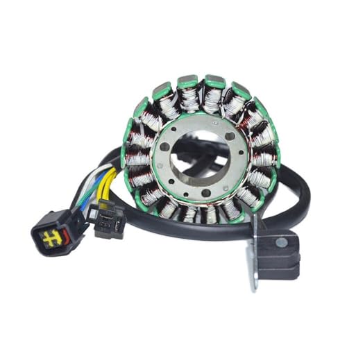 Motorrad Magnet Hohe Leistung Stator Spule Fit for DR250 DR 250 250XC 1994-2007 Djebel 250 1998-2008 von ASVGTRZ