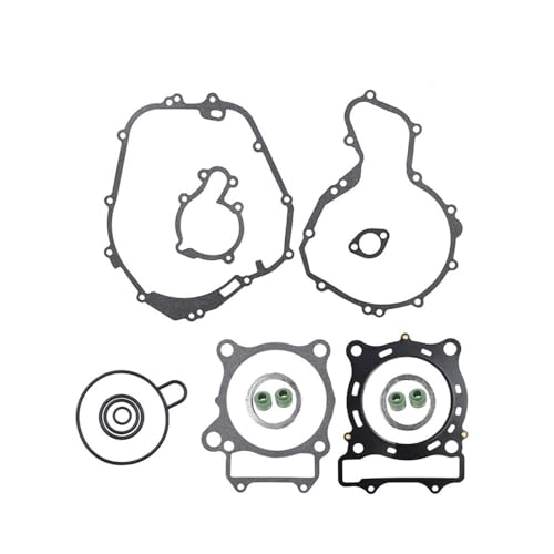 Motorrad-Motorteile Kompletter Zylinderdichtungssatz Passend for 500 2003 2004 2005 2006 2007 2006 2007 von ASVGTRZ
