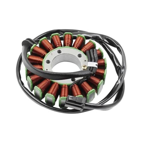 Motorrad Teile Generator Stator Spule Fit for T1300111 T1300509 GT Tiger ST 1050 ST1050 GT1050 von ASVGTRZ