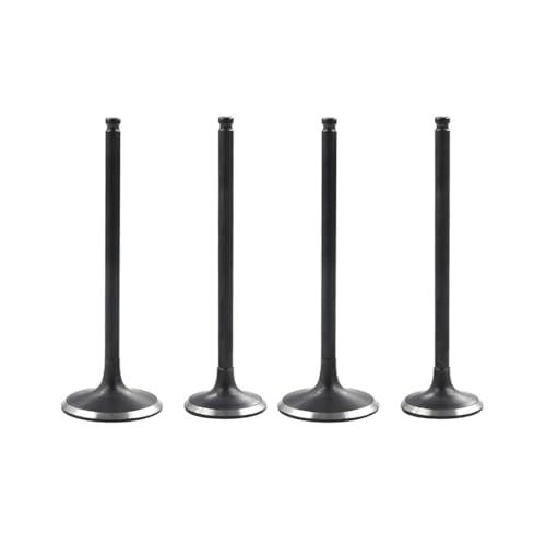 Motorradmotor Einlass- und Auslassventilschaft-Kit Passend for WR250R WR250X WR250 WR 250R 250X 250 RX 2007 2008 2008 2009 2010-17(2 Pairs) von ASVGTRZ