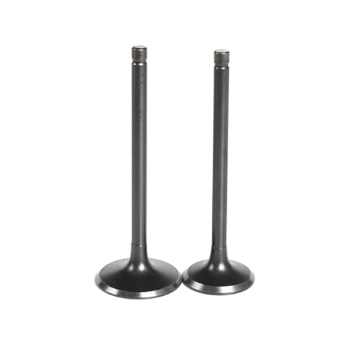 Motorradteile Einlass- und Auslassventile Stem Kit Fit for XT 225 XT225 TT225 TTR225 TW225E 1985-2007 Einlass-/Auslassventil(1x intake 1x exhaust) von ASVGTRZ