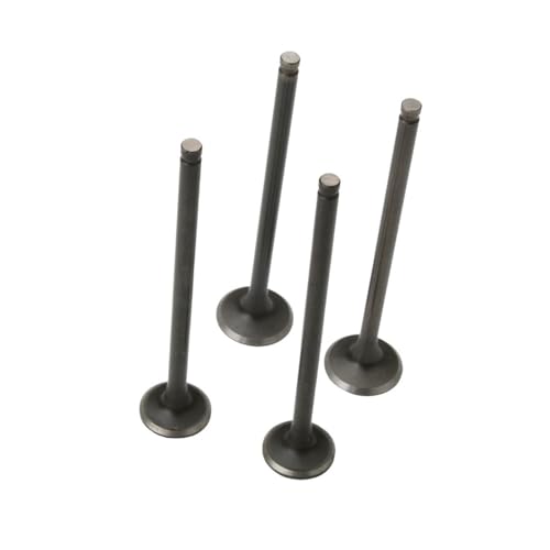 Roller Einlass-Und Auslassventile Fit for 125 R YP 125R YZF R125 1B9-E2121-00 5YP-E2111-01 4T Roller Einlass-Und Auslassventile Fit for 125 R YP 125R YZF R125 1B9-E2121-00 5YP-E2111-01 4T von ASVGTRZ