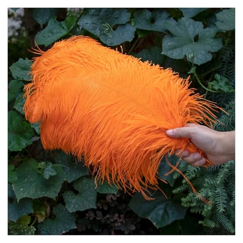 Natürliche Federn, Bastelfedern, 10 Stück, mehrfarbig, 15–45 cm, for Basteln, for Hochzeitsfeiern, Dekoration(Color 1,2530cm) von ASZHQUXIUAS