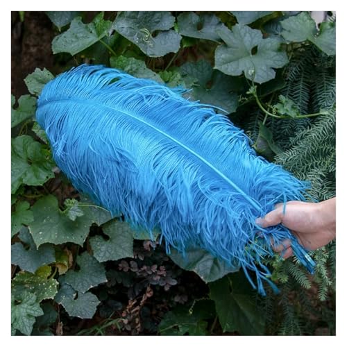 Natürliche Federn, Bastelfedern, 10 Stück, mehrfarbig, 15–45 cm, for Basteln, for Hochzeitsfeiern, Dekoration(Color 2,3540cm) von ASZHQUXIUAS