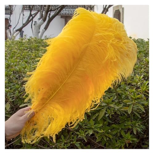 Natürliche Federn, Bastelfedern, 10 Stück, mehrfarbig, 15–45 cm, for Basteln, for Hochzeitsfeiern, Dekoration(Color 4,3540cm) von ASZHQUXIUAS