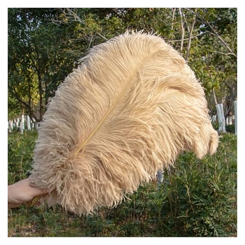 Natürliche Federn, Bastelfedern, 10 Stück, mehrfarbig, 15–45 cm, for Basteln, for Hochzeitsfeiern, Dekoration(Color 7,3035cm) von ASZHQUXIUAS